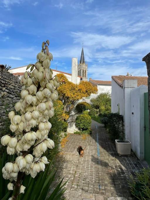 Maison De Charme A La Couarde-Sur-Mer Luaran gambar